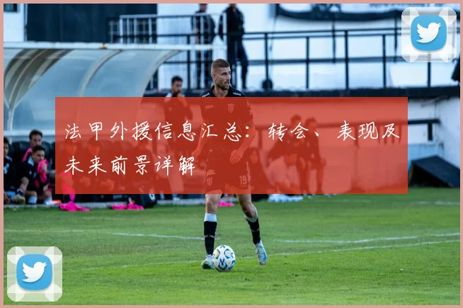 法甲外援信息汇总：转会、表现及未来前景详解