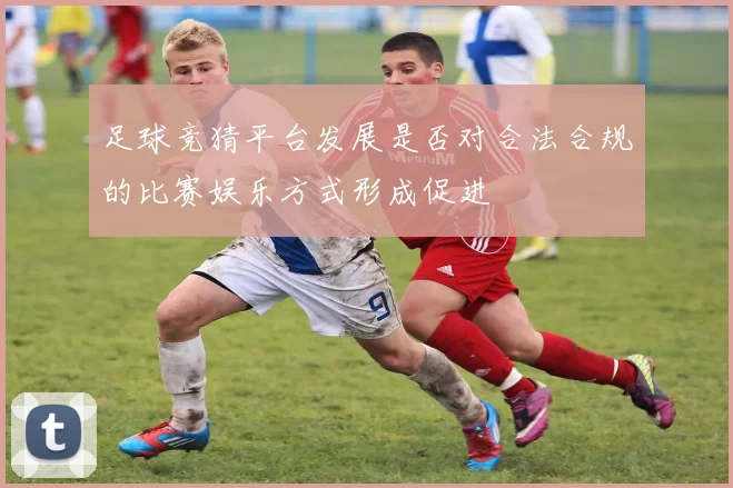 足球竞猜平台发展是否对合法合规的比赛娱乐方式形成促进
