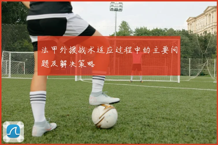 法甲外援战术适应过程中的主要问题及解决策略
