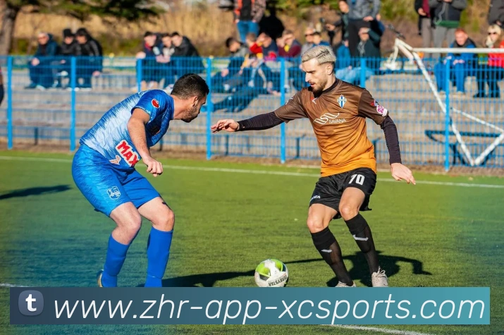 杏彩体育平台生态图