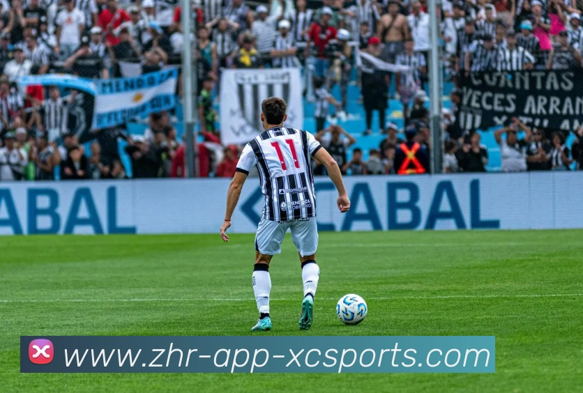 杏彩体育全站App