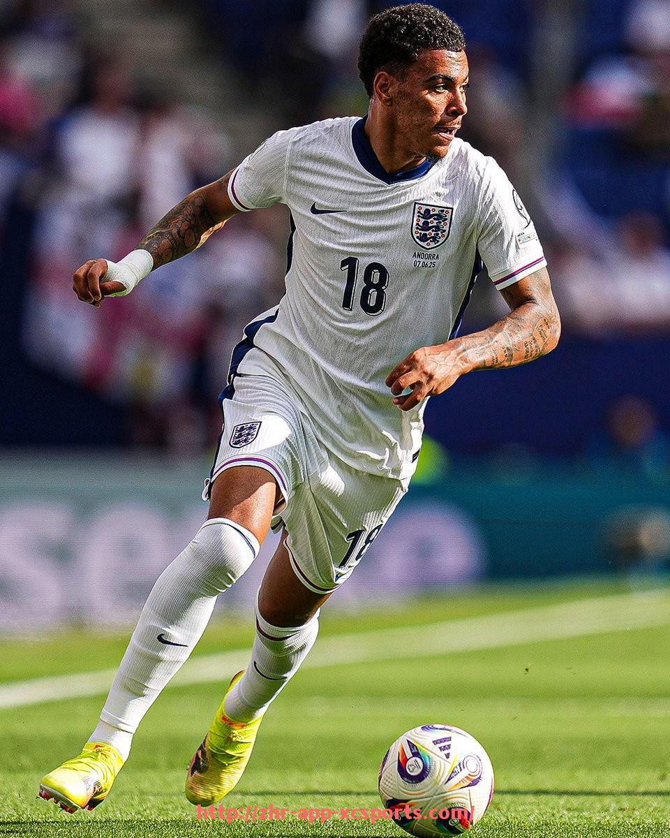 杏彩体育-NBA总决赛结束后的庆祝与球队反响